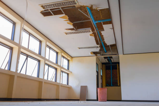 Best Water damage cleanup near me  in Grove, OK