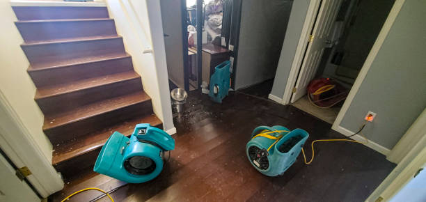 Best Ceiling water damage repair  in Grove, OK