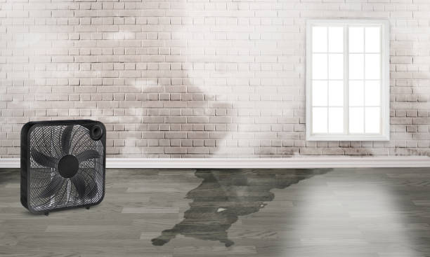 Local water damage restoration in Grove, OK