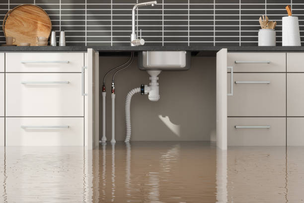 Best Water damage contractors near me  in Grove, OK