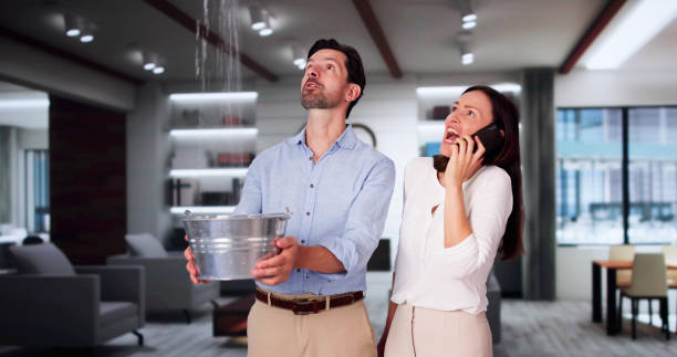 Best Local water damage restoration  in Grove, OK